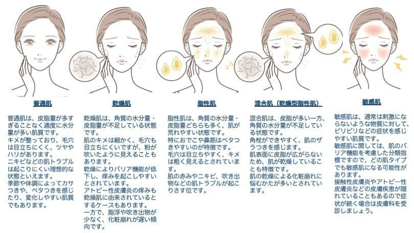 肌質についての説明イラスト