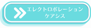 ケアシスの説明