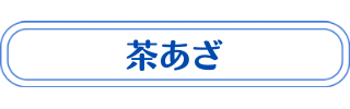 茶あざの説明・治療法